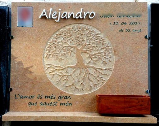 [LAP-INC-006] Colocada Web